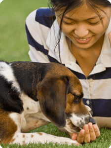 Pet Resources, Ask Your Vet! - Cartersville Animal Hospital